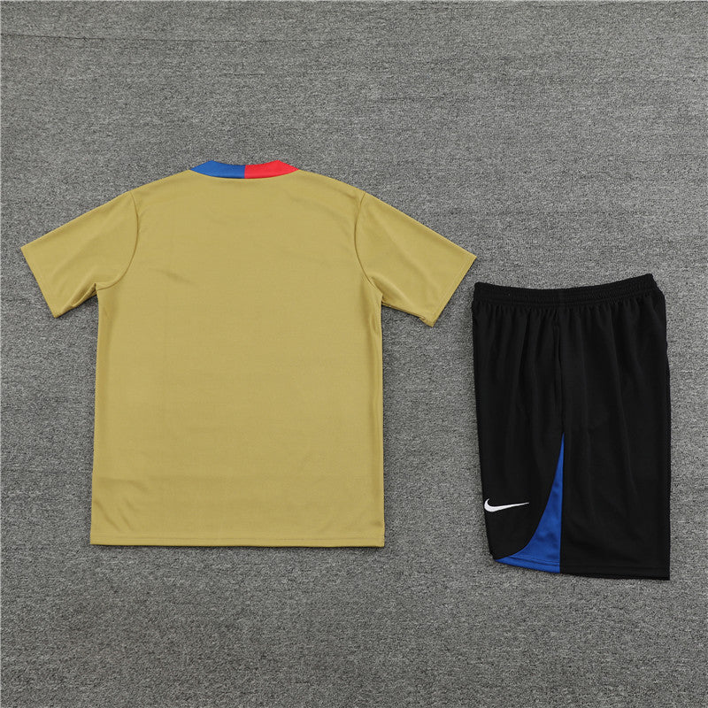 Kit de Treino Barcelona 24/25 - Dourado